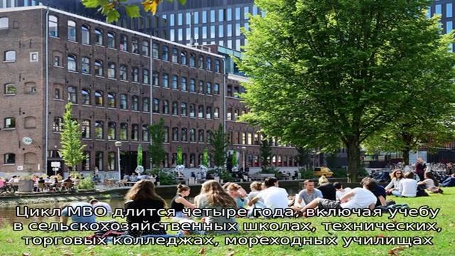 Обучение в Голландии смотреть онлайн