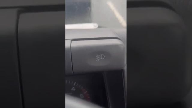 Медведица напала на автомобиль Медведица напала на автомобиль