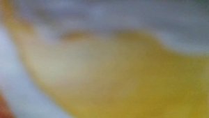 Одинокая луна)Ты ведь знаешь, я одна,как одинокая луна.Я не могу забыть тебя,я без тебя(наброски)