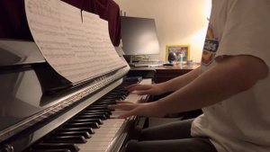 Н.А. Римский-Корсаков Ария Индийского гостя из оперы ,,Садко,,