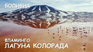 Мир Приключений - Красная Лагуна. Фламинго в Лагуне Колорада. Анды Боливии.