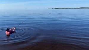 Ладога  д. Черное рыбалка 25.06. 2022