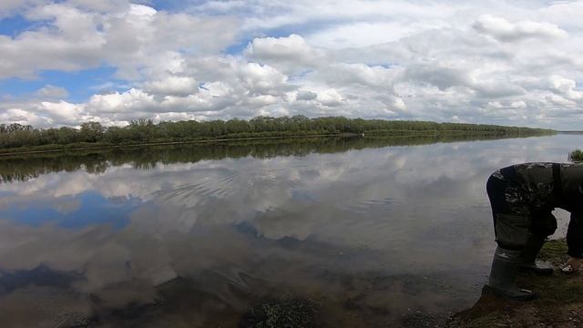 Ловля на маховую удочку! Голавль, плотва,чехонь! смотреть онлайн