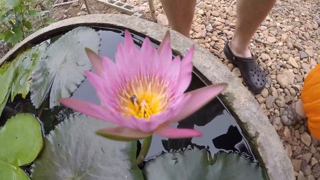 Путешествие в Тайланд # 4 | Лучшая экскурсия смотреть онлайн