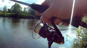 Аргументированная рыбалка с берега. Река Кудьма.