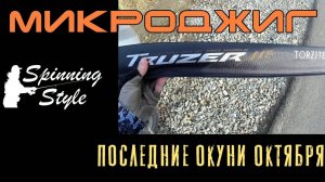 Микроджиг в городской черте. Последние окуни октября и неожиданный любитель 2" резины