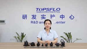 Как выбрать мини бесщеточный насос водяной 12 в постоянного тока?
