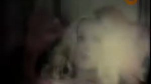 ЛЮДИ КОНТАКТИРУЮТ С ПРИШЕЛЬЦАМИ! БЛИЗКИЕ КОНТАКТЫ С НЛО 29 06 2017