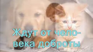 Горы, море и холмы Христианское Караоке