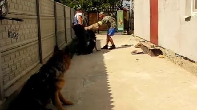 Обучение злобе, охрана территории часть 1 из 2