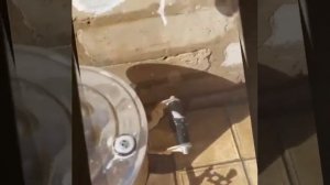 Чистим самовар ?