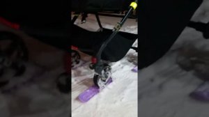 Лыжи для коляски.