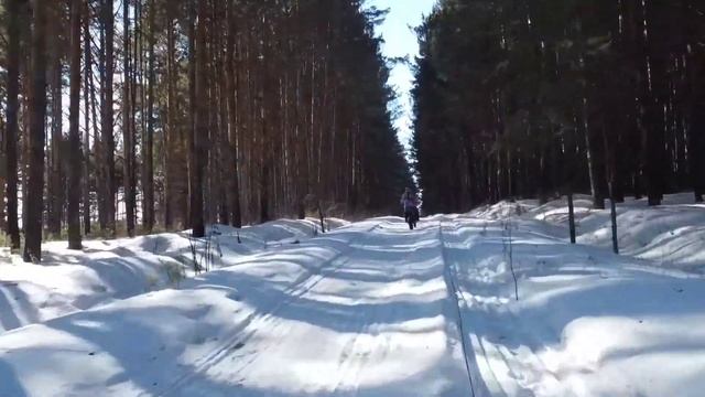 "Солдатское" озеро зимой. Болотное. ( YCF Biggi and Dji mini2) смотреть онлайн