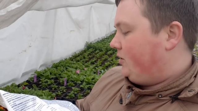 Супер подкормка сада весной!/Удобрение газона!