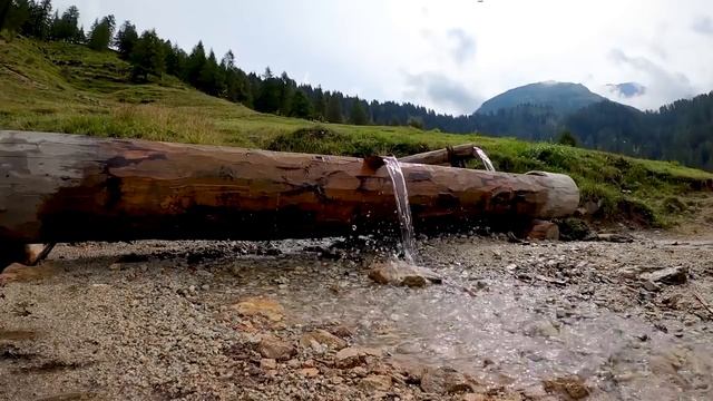 Потерпи малыш, я тебя вытащу. Приговаривал егерь, разжимая ловушку. Все будет хорошо! смотреть онлайн