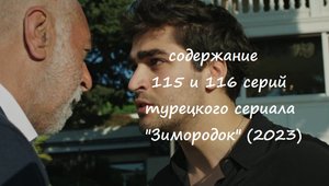 Содержание 115 и 116 серий турецкого сериала "Зимородок" (РФ, 2023)