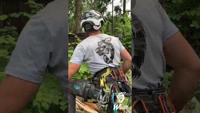 Садовый центр ч2. Удаление падающего дерева