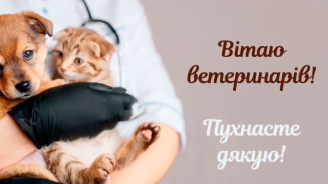 Вітаємо з Днем ветеринара! Найкраще привітання