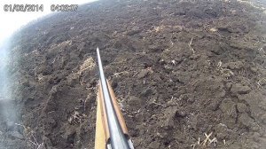 Охота на зайца с Тоз-34 28 калибр