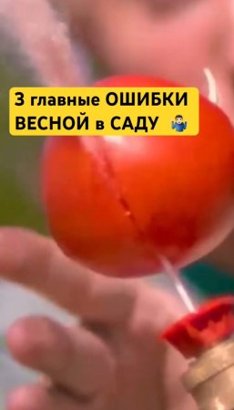 Никогда НЕ ДЕЛАЙТЕ это весной в саду