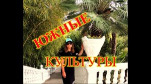 СОЧИ\АДЛЕР\ПРОГУЛКА В ПАРКЕ ДЕНДРАРИИ ЮЖНЫЕ КУЛЬТУРЫ ТРЕТЬЯ ЧАСТЬ