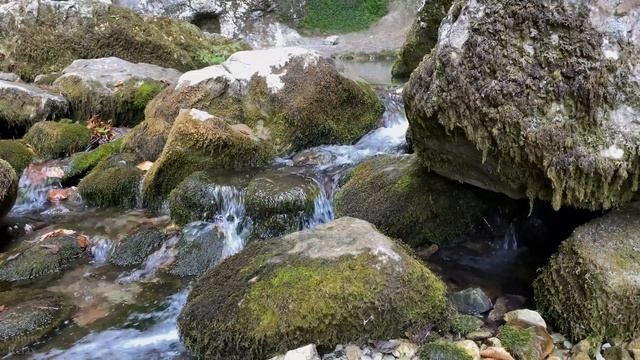 Успокаивающий Звук Ручья, 15 минут для Релаксации и Отдыха.