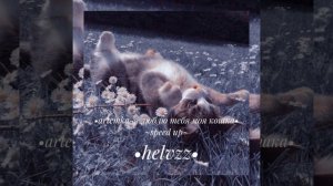 •Artemka-я люблю тебя моя кошка• ~speed up~