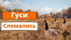thehunter call of the wild - охота на гусей
