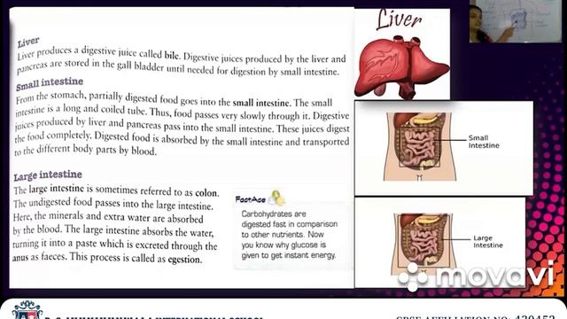 Science Chapter -6 - Part 2 - Grade 4 смотреть онлайн