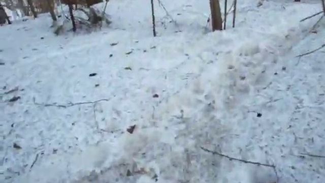 погоня за подранком brpclub.ru смотреть онлайн