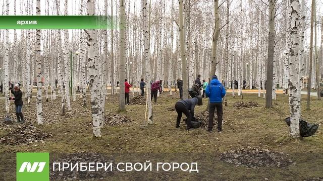 Все на субботник