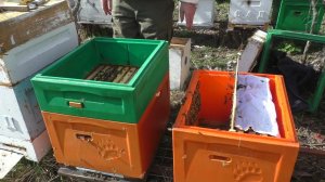 ПЕРЕСАДКА СЛАБЫХ СЕМЕЙ после зимовки