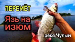 Рыбалка на ПЕРЕМЁТ. ЩУКИ на живца, ЯЗИ на изюм.