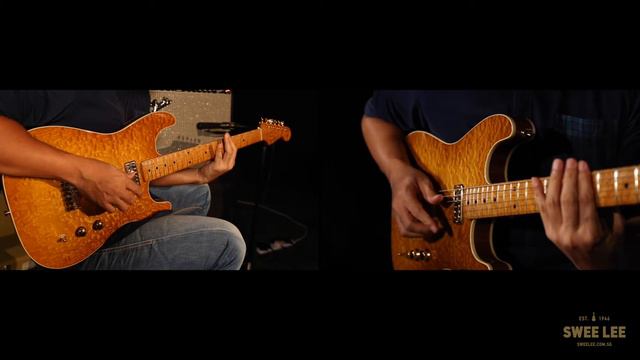 Fender Custom Shop Dale Wilson Masterbuilt Tamo Ash Stratocaster смотреть онлайн