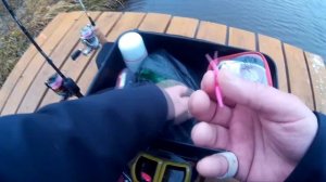 ловля форели на силиконовые приманки IAMcompany Trout Hunter (Mediator, Bulky, Sting, Pulse)