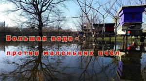 Большая вода - против маленьких пчёл