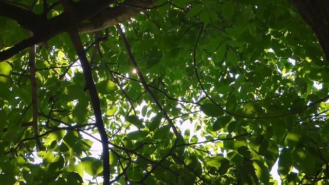 13 апреля - День Опасностей. Уберите это из дома | Лунный Календарь смотреть онлайн