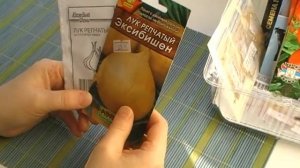 26 января 2019г. ЛУК ... СРОКИ ПОСЕВА ЧЕРНУШКИ