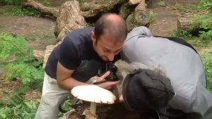 Бомж напал на фотографа! Прикольное ржачное смешное видео!