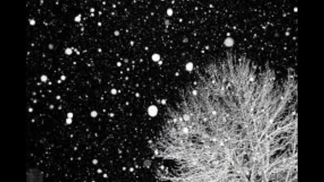 Прости меня, усталый человек. Стихи: А. Генкин, исп.: Т.Рехельс смотреть онлайн