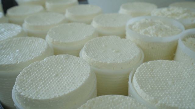 Синьор Джованни — кто он такой и чем покорил сердца уральцев? Производство настоящего сыра в Тюмени