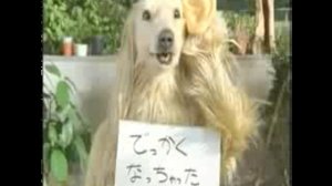 Идиотская японская реклама