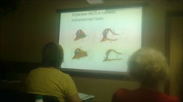 Милешина Н.А. Врождённые аномалии уха. смотреть онлайн