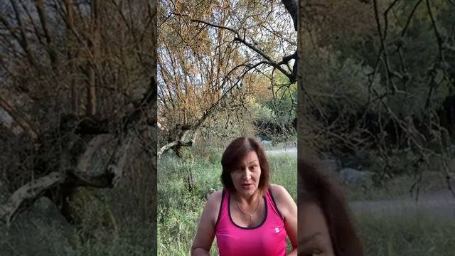 Сказка в итальянском лесу смотреть онлайн