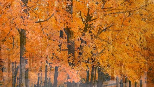 Концерт 23.11.2014. смотреть онлайн