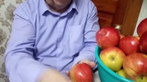 ЗИМОСТОЙКАЯ ЯБЛОНЯ ПЕРВОУРАЛЬСКАЯ. видео Нусратуллина Ф.Г.