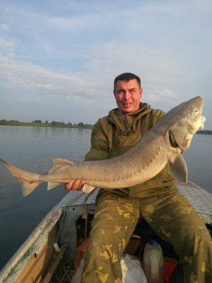 Смешной анекдот про цирк и дрессировщиков о том как важно быть профессионалом в любом деле.