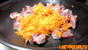 Кошачий корм своими руками в домашних условиях