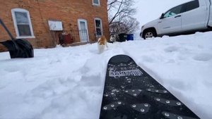 Taddy Skates- Best Cat Snowskate Video Ever! "Hustle To Meowtivate"