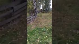 Емельяновский район, с.Никольское